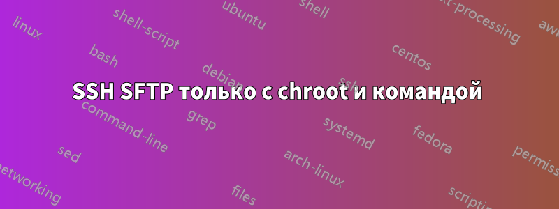 SSH SFTP только с chroot и командой