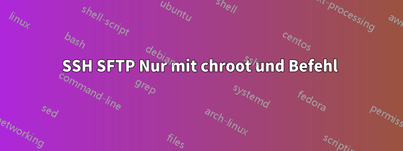 SSH SFTP Nur mit chroot und Befehl
