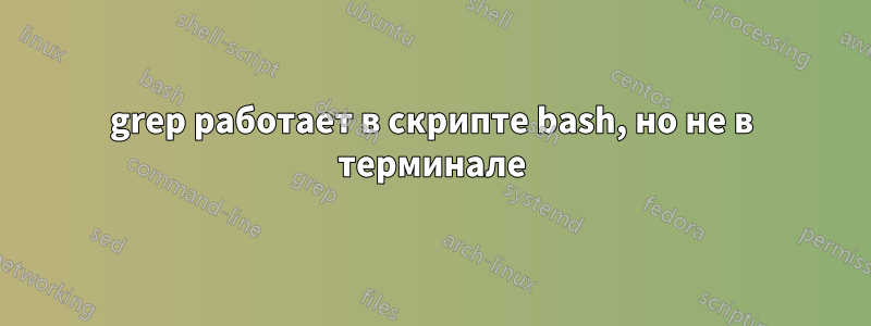 grep работает в скрипте bash, но не в терминале