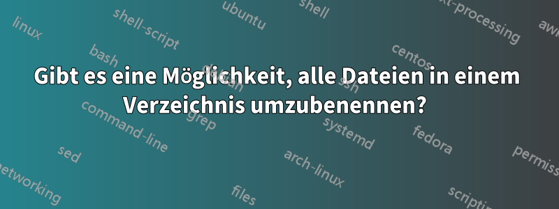 Gibt es eine Möglichkeit, alle Dateien in einem Verzeichnis umzubenennen? 