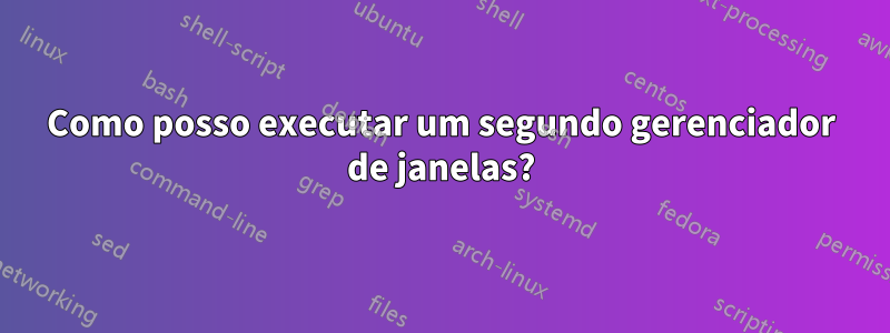 Como posso executar um segundo gerenciador de janelas?
