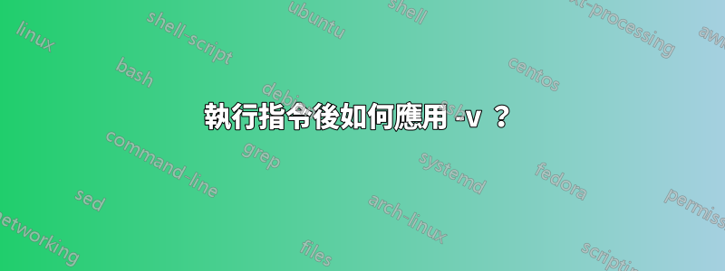 執行指令後如何應用 -v ？