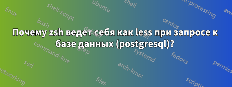 Почему zsh ведет себя как less при запросе к базе данных (postgresql)?