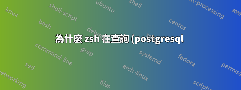 為什麼 zsh 在查詢 (postgresql) 資料庫時表現較差?