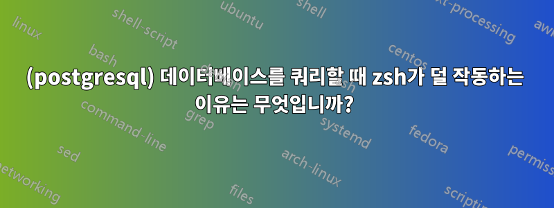 (postgresql) 데이터베이스를 쿼리할 때 zsh가 덜 작동하는 이유는 무엇입니까?