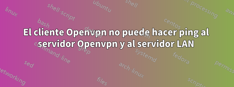 El cliente Openvpn no puede hacer ping al servidor Openvpn y al servidor LAN