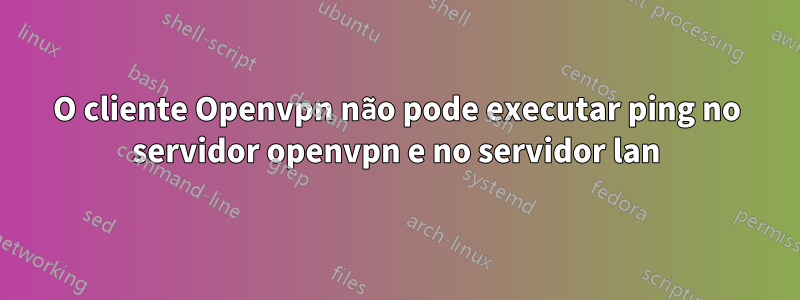 O cliente Openvpn não pode executar ping no servidor openvpn e no servidor lan