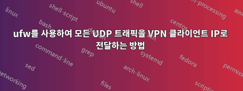 ufw를 사용하여 모든 UDP 트래픽을 VPN 클라이언트 IP로 전달하는 방법