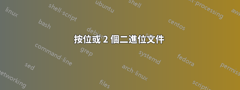 按位或 2 個二進位文件