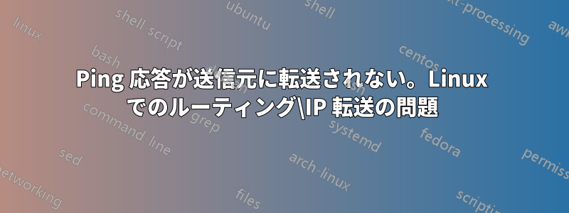 Ping 応答が送信元に転送されない。Linux でのルーティング\IP 転送の問題