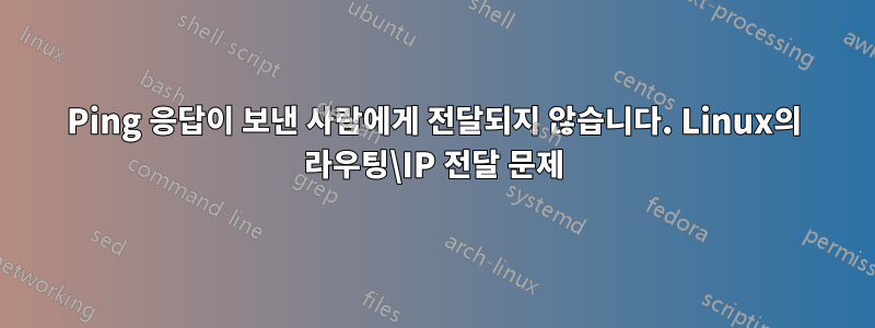 Ping 응답이 보낸 사람에게 전달되지 않습니다. Linux의 라우팅\IP 전달 문제