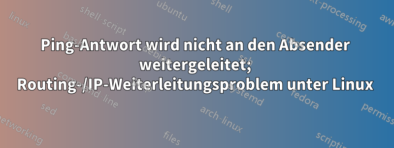 Ping-Antwort wird nicht an den Absender weitergeleitet; Routing-/IP-Weiterleitungsproblem unter Linux