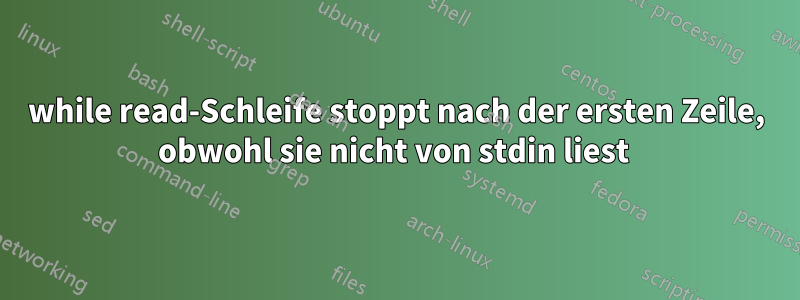 while read-Schleife stoppt nach der ersten Zeile, obwohl sie nicht von stdin liest 