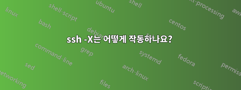 ssh -X는 어떻게 작동하나요?