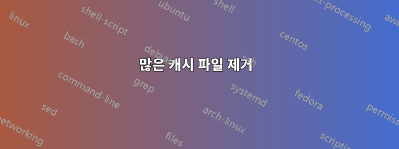 많은 캐시 파일 제거 