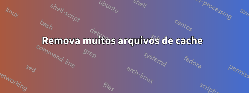 Remova muitos arquivos de cache 
