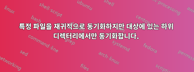 특정 파일을 재귀적으로 동기화하지만 대상에 있는 하위 디렉터리에서만 동기화합니다.