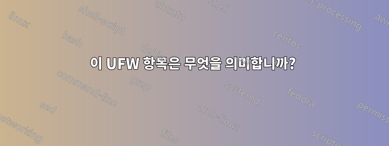 이 UFW 항목은 무엇을 의미합니까?