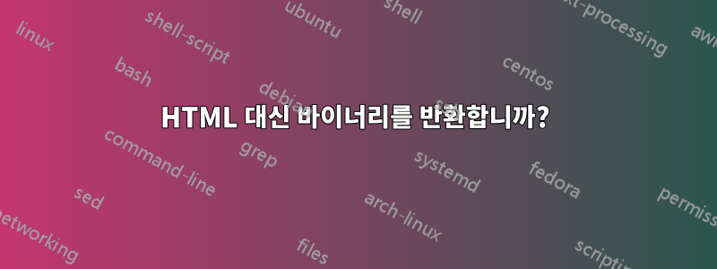 HTML 대신 바이너리를 반환합니까?