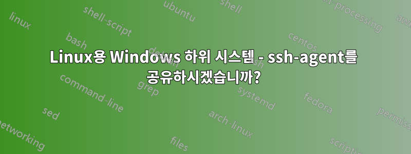 Linux용 Windows 하위 시스템 - ssh-agent를 공유하시겠습니까?