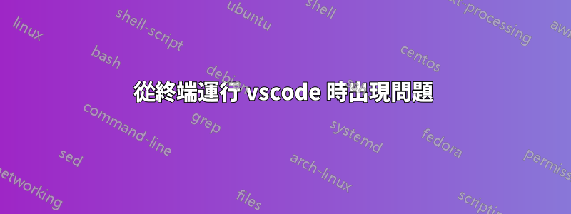 從終端運行 vscode 時出現問題