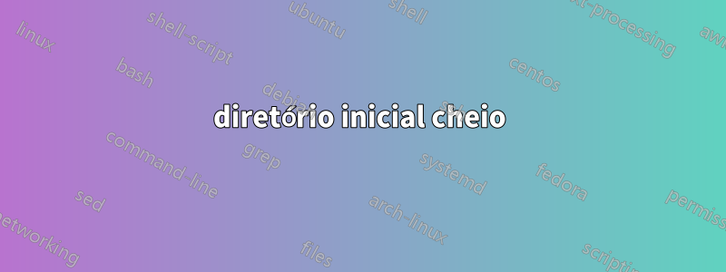diretório inicial cheio