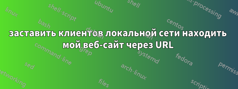 заставить клиентов локальной сети находить мой веб-сайт через URL