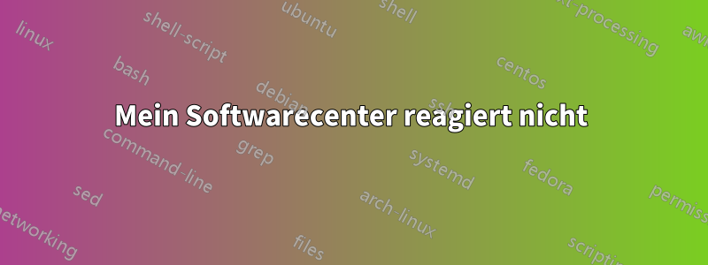 Mein Softwarecenter reagiert nicht