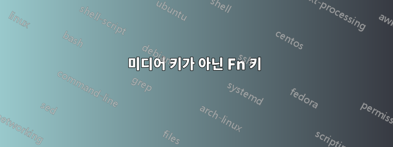 미디어 키가 아닌 Fn 키