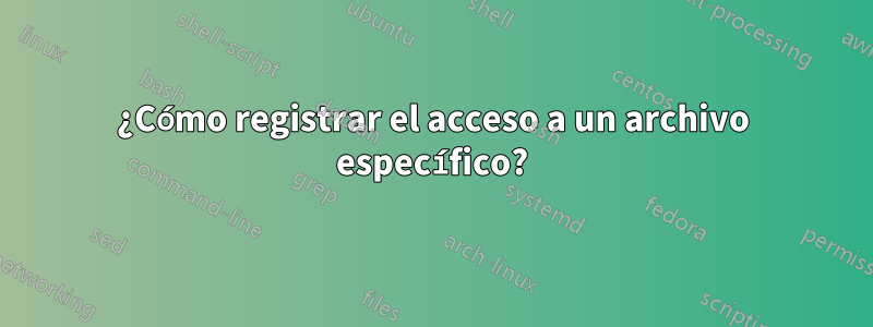 ¿Cómo registrar el acceso a un archivo específico?
