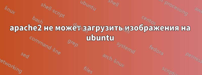apache2 не может загрузить изображения на ubuntu