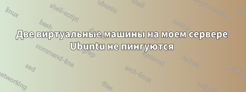 Две виртуальные машины на моем сервере Ubuntu не пингуются
