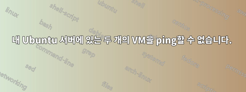 내 Ubuntu 서버에 있는 두 개의 VM을 ping할 수 없습니다.