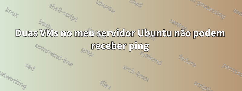 Duas VMs no meu servidor Ubuntu não podem receber ping