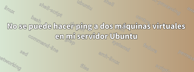 No se puede hacer ping a dos máquinas virtuales en mi servidor Ubuntu