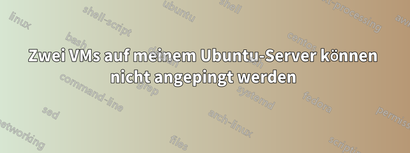 Zwei VMs auf meinem Ubuntu-Server können nicht angepingt werden