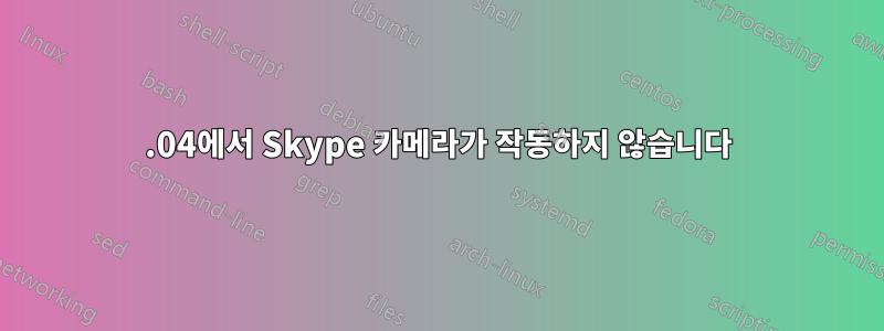 15.04에서 Skype 카메라가 작동하지 않습니다