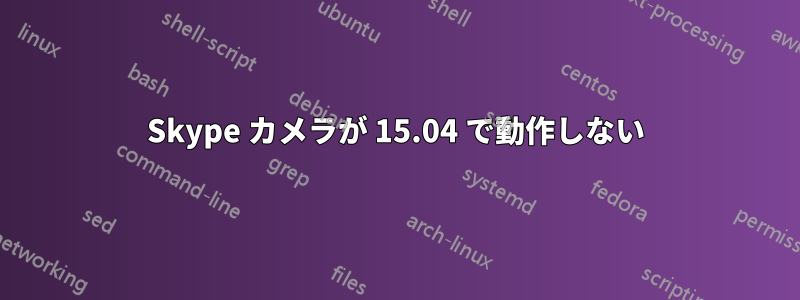 Skype カメラが 15.04 で動作しない