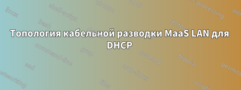 Топология кабельной разводки MaaS LAN для DHCP