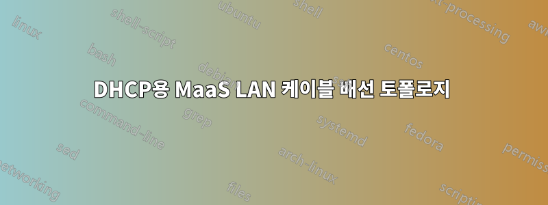 DHCP용 MaaS LAN 케이블 배선 토폴로지