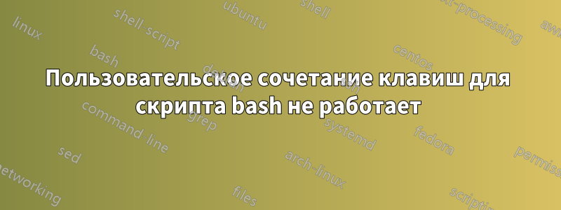 Пользовательское сочетание клавиш для скрипта bash не работает