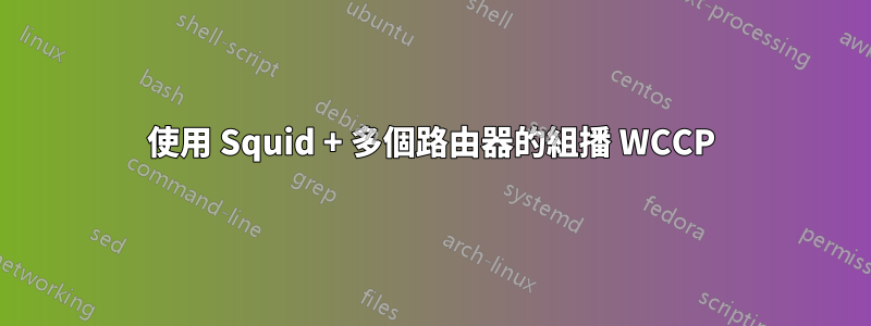 使用 Squid + 多個路由器的組播 WCCP