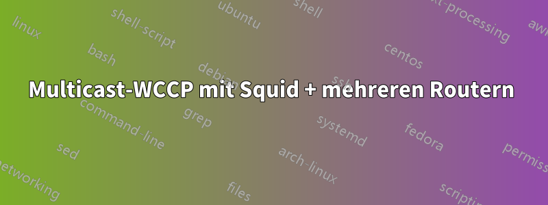 Multicast-WCCP mit Squid + mehreren Routern