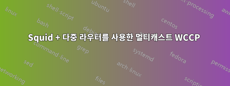 Squid + 다중 라우터를 사용한 멀티캐스트 WCCP