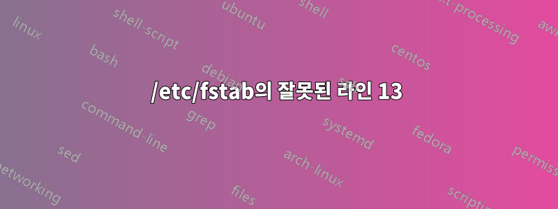 /etc/fstab의 잘못된 라인 13
