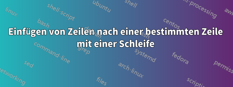 Einfügen von Zeilen nach einer bestimmten Zeile mit einer Schleife