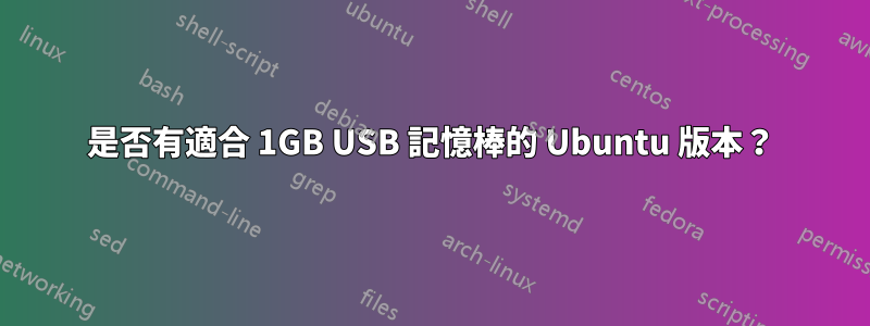 是否有適合 1GB USB 記憶棒的 Ubuntu 版本?