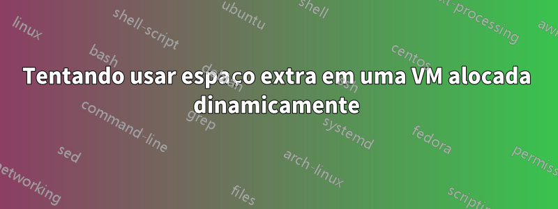 Tentando usar espaço extra em uma VM alocada dinamicamente