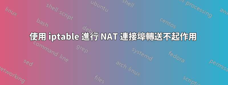 使用 iptable 進行 NAT 連接埠轉送不起作用