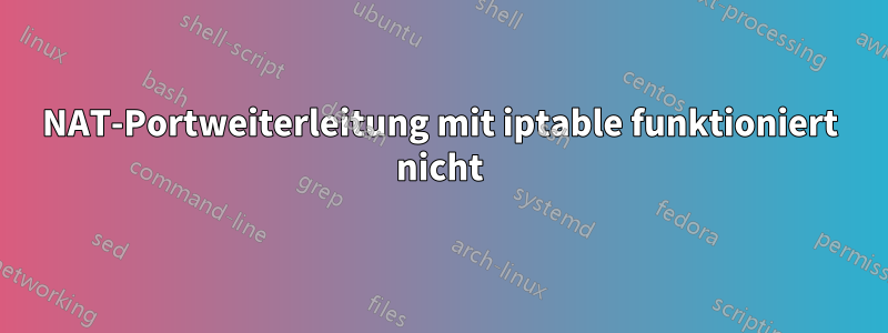NAT-Portweiterleitung mit iptable funktioniert nicht